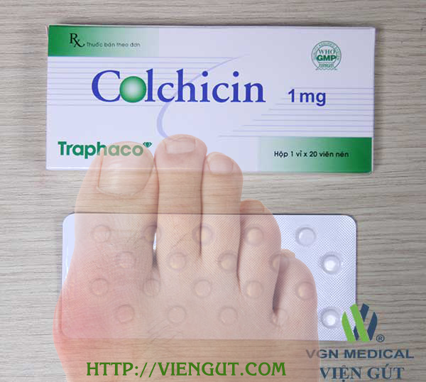 An toàn với thuốc colchicine điều trị cấp tính