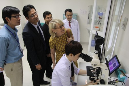 Hợp tác khoa học Pháp Việt -nghiên cứu hướng tới cải thiện việc điều trị bệnh gút