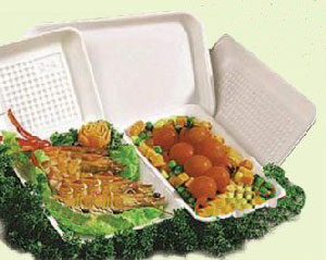 an toàn thực phẩm trong sử dụng hộp xốp chứa đựng, bảo quản thực phẩm