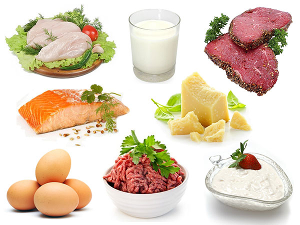 Bảng danh sách thực phẩm giàu chất protein